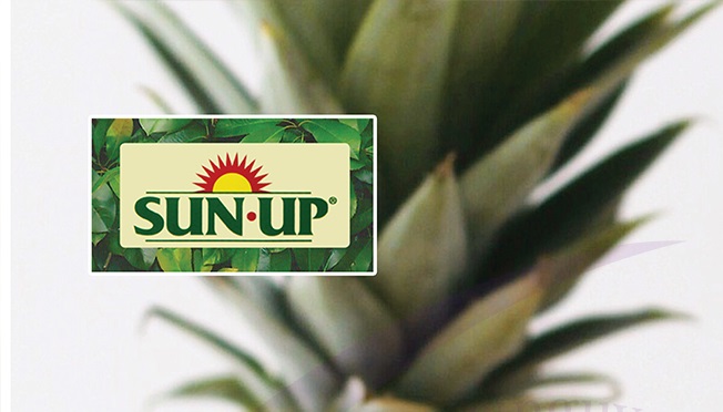 Syrup Sunup